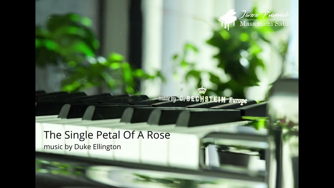 ♪The Single Petal Of A Rose 2026.7.12. W.HOFFMANNで聴く朝ジャズ1