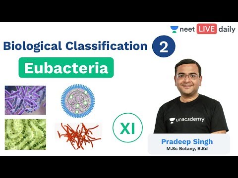 जैविक वर्गीकरण - एल 2 | यूबैक्टेरिया | Unacademy NEET | लाइव डेली | जीवविज्ञान | प्रदीप सिरो