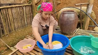 My life after giving birth to my daughter, Harvest Agricultural - taking care of pets: 30 Days