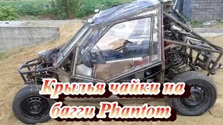 Крылья чайки на багги Phantom