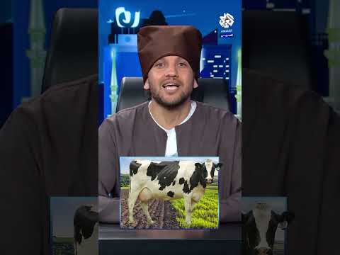 ازاي الدولة حتساعد الفلاحين في عيدهم؟