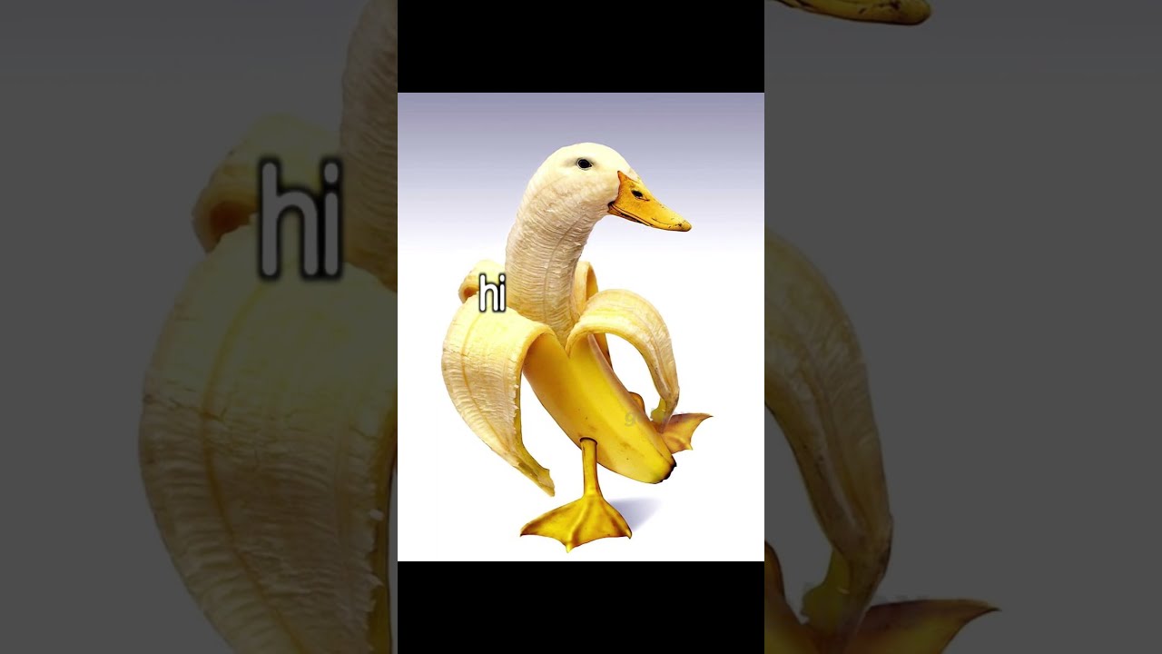It All Started When My Mom Met Dad Banana Duck Meme Brainrot