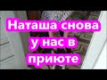 Наташа снова у нас в приюте