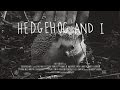 HEDGEHOG AND I - a 16mm short film (2015)