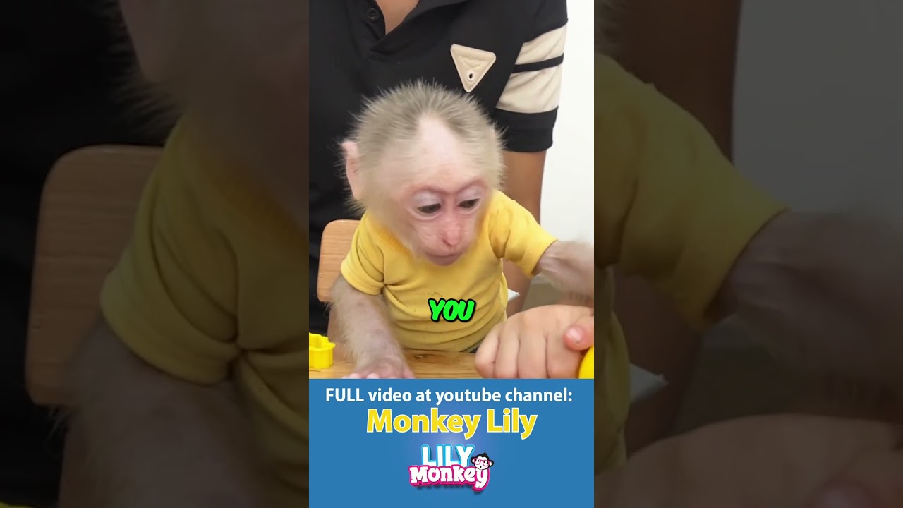 Интерактивная желтая игрушка для игр и развлечений! 