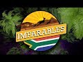 Imparables Cape Epic 2018