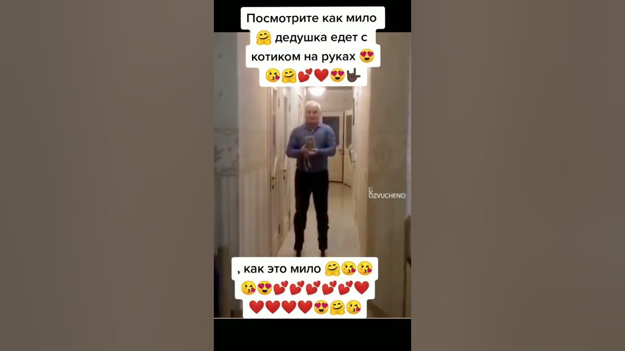 Мем дед на гироскутере с котом ДИСКОТЕКА КОНТЕРСТРИК С ВНУКОМ АДОЛЬФА YouTube