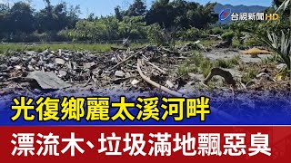 光復鄉麗太溪河畔 漂流木、垃圾滿地飄惡臭
