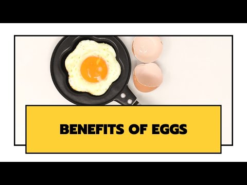Benefits Of Eggs | Mishry Reviews