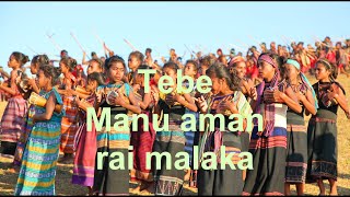 Tebe Timor 2020 | Tebe manu Aman Rai Malaka