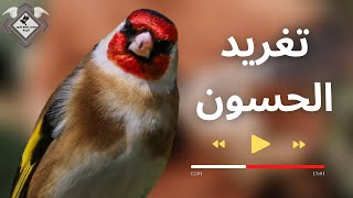 تغريد الحسون 2022