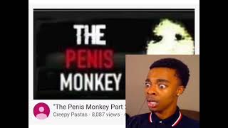 the penis monkey