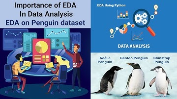 Exploratory Data Analysis-EDA||Overview ||Importance of EDA in Data Analysis||EDA on Penguin dataset