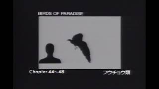 動物映像大百科　第5巻　鳥類2　C面2