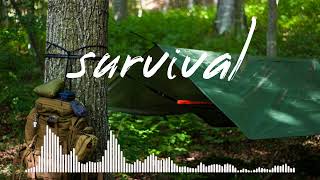 Backsound vidio survival / petualang hutan no copyright