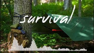 Backsound vidio survival / petualang hutan no copyright