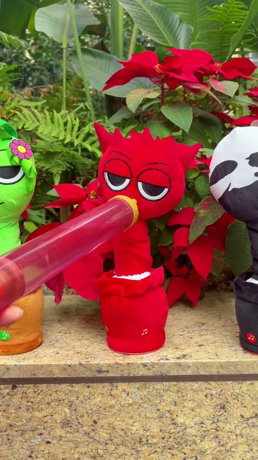 poor Black dancing cactus