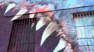 Brodco Boogie Mrmark In Detroit. Michigan