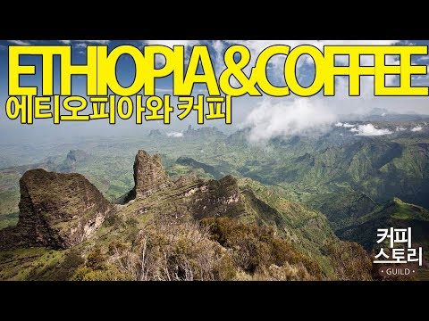 에티오피아와 커피에 대해 알아봅시다 -커피스토리 / KCBC한국커피추출센터
