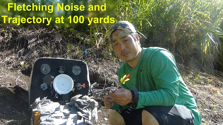 Fletching Noise and Trajectory at 100 yards Test - Bohning X-Vane, AAE Max Stealth, Blazer