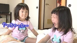 まーちゃんにイジワルしてしまって怒られるナナタンココロマン普段の様子