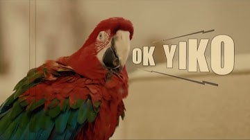 Hãy Ra Hiệu Lệnh Để AI YIKO X1 OMNI Phục Vụ Bạn || TEKMALL❤️