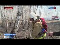 Пожароопасный сезон объявлен во всех районах Омской области