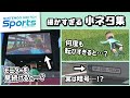 【Nintendo Switch Sports】ゲームに隠れた細かすぎる小ネタ集！【ニンテンドースイッチスポーツ】@レウンGameTV