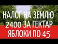 Налог на землю 2400грн. за гектар. Яблоки по 45 грн.