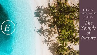 Relaxing ASMR // The Best Place to Relax // 30 Minutes Beach Vibes