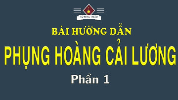 Bài hướng dẫn: PHỤNG HOÀNG CẢI LƯƠNG (PHẦN 1) Hò Tư | Bài bản cải lương | Cổ Nhạc Tri Âm