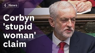 Did Corbyn say 'stupid woman' to PM at PMQs or 'stupid people'?