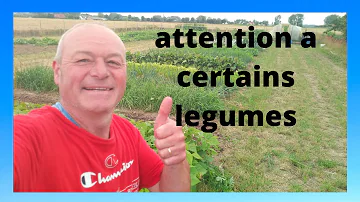 Quels légumes ont besoin de peu d'eau ?