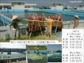 JICA2014生物浄化法スライドショー　日本語