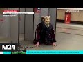 Мужчина в маске чудовища пугал пассажиров на станции "Селигерская" - Москва 24