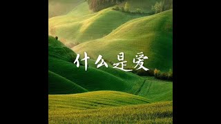 201702 什么是爱40351