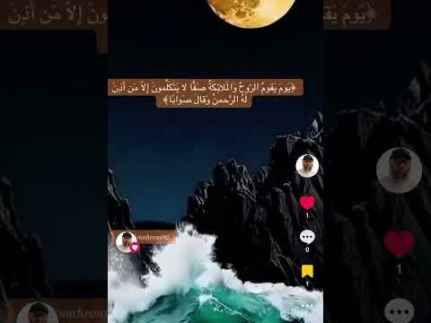 ي وم ي قوم الر وح و الم لائ ك ة ص ف ا لا ي ت ك ل مون إ ل ا م ن أ ذ ن ل ه الر حمن