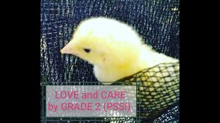 LOVE and CARE for ANIMALS - Part 1