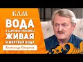 Вода и здоровье человека (1) Александр Саврасов, 2018г. www.slavmir.tv