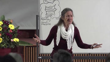 "Gut Health - Chronic Fatigue and IBS" by Barbara O