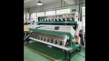 Color sorter for wheat processing