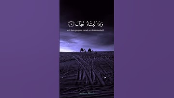 #بسم_الله_الرحمن_الرحيم #قرآن #آيات #اكسبلور #لايك #دويتو #ترند