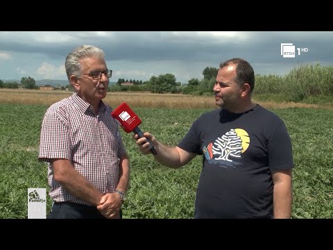 Video: RusAlliance Stroy LLC: reagimet e punonjësve për punën