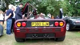 At salon prive london; it won its class (90's supercars) in the
concours elegance! very nice example! (my 21st different f1 i've
seen:)