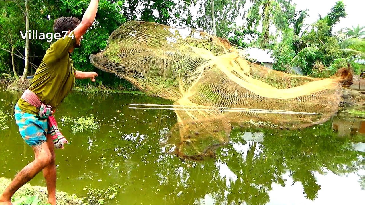 Cast Net Fishing videos।Traditional Cast Net Fishing in Village।Village