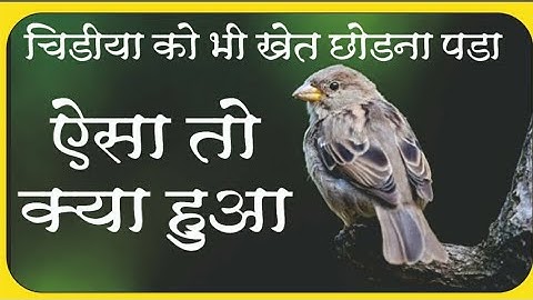 Inspirational video // khud ka kaam khud karna chachiye by Esha himanshu patel /