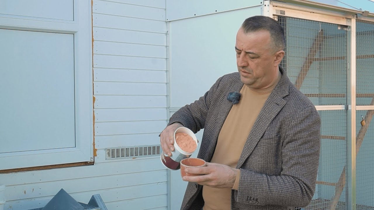 Как мы готовим наших самок перед сезоном полетов?