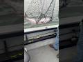 SALMON FISHING CALIFORNIA 8/26/2025