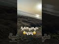 ملي تجي العشية يما يا يما اكسبلور ترند تيك توك 