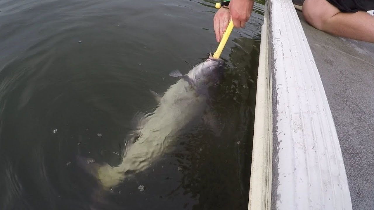 how to catch catfish in texas Catching Catfish on LIGHT TACKLE Before a Storm